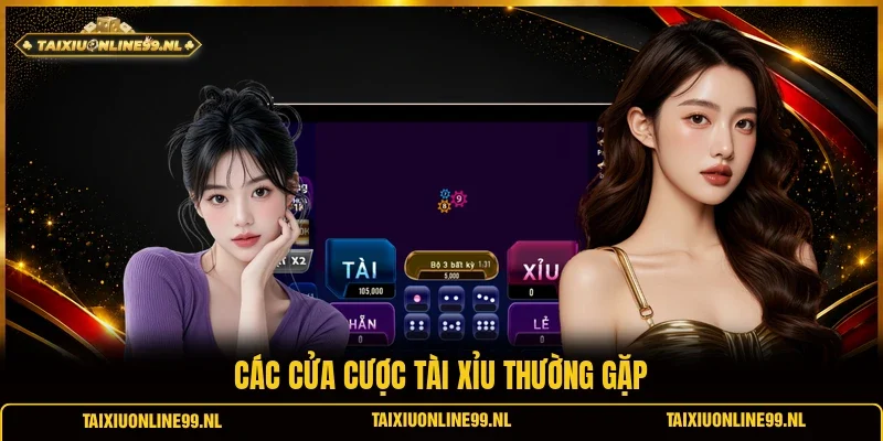 Các cửa cược tài xỉu thường gặp