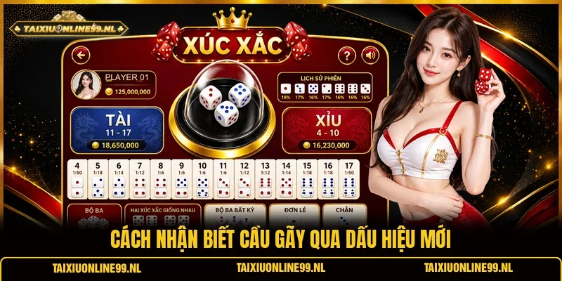 Cách nhận biết cầu gãy qua dấu hiệu mới