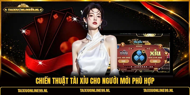 Chiến thuật tài xỉu cho người mới phù hợp