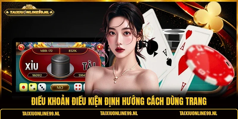 Điều khoản điều kiện định hướng cách dùng trang