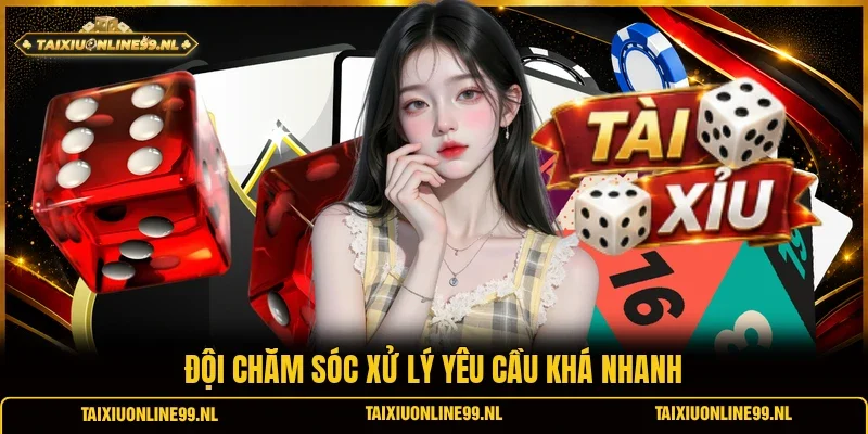 Đội chăm sóc xử lý yêu cầu khá nhanh