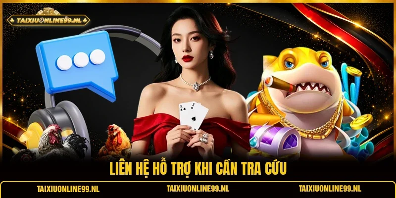 Liên hệ hỗ trợ khi cần tra cứu