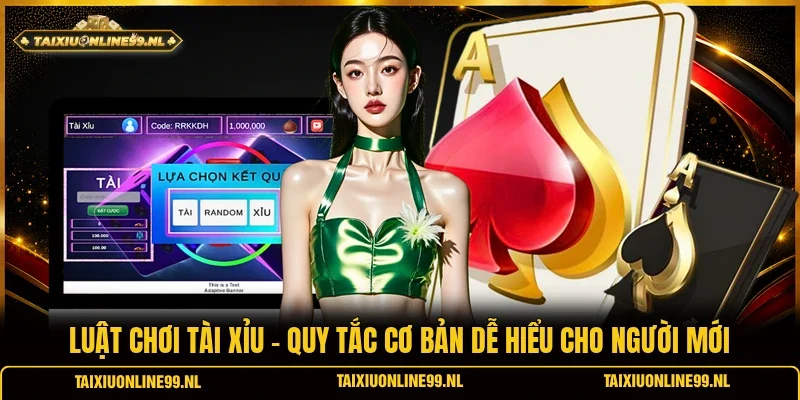 Luật Chơi Tài Xỉu - Quy Tắc Cơ Bản Dễ Hiểu Cho Người Mới