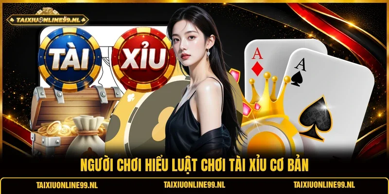 Người chơi hiểu Luật chơi tài xỉu cơ bản