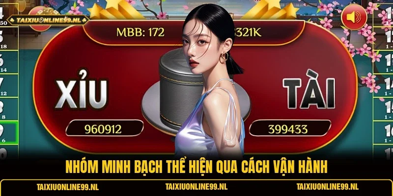 Nhóm minh bạch thể hiện qua cách vận hành